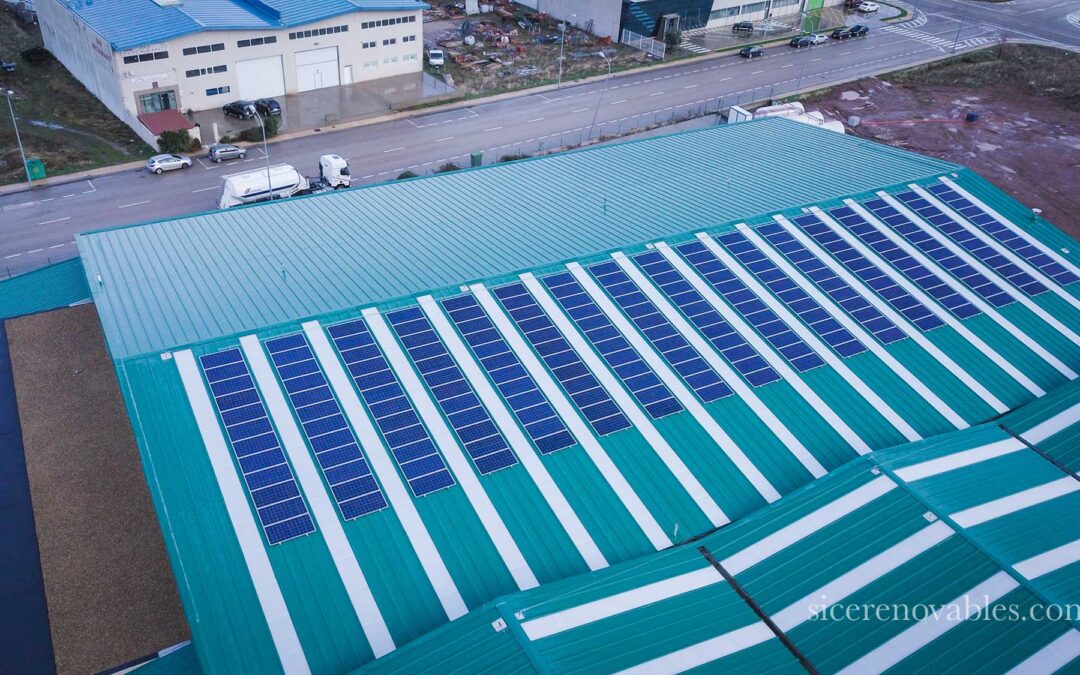 Limpieza profesional de paneles solares industriales: técnicas, riesgos y frecuencia recomendada