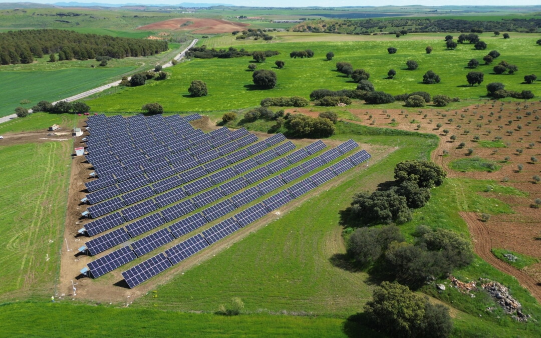Energía solar en la industria agroalimentaria: aplicaciones, rentabilidad y eficiencia
