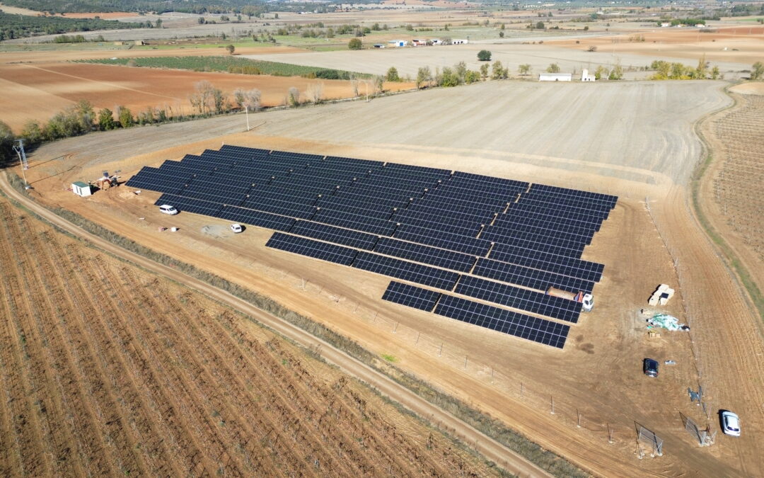 Huertos solares industriales: diseño, regulación y modelos de explotación